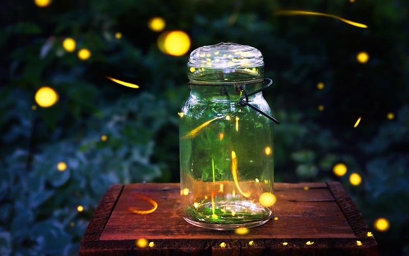 glowing fireflies in a jar