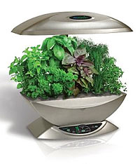 AeroGrow AeroGarden Herb Growing Kit Stainless Steel