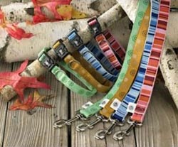 AKC Recycled Dog Collars for Sale