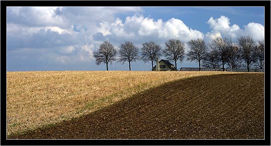 Ending Rural Hunger: Farmland by Jeroen Van Daal