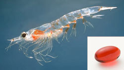 Krill Oil Omega-3 Supplement