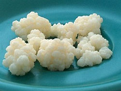 water kefir grains