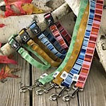 recycled dog collars