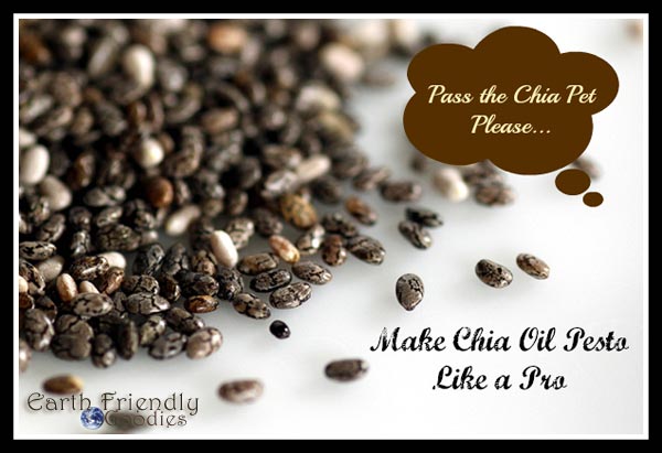 chia oil pesto recipe