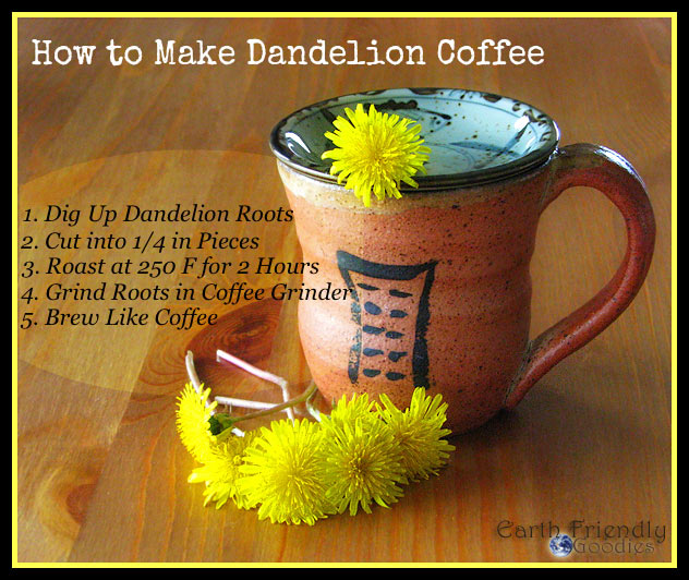 how to make dandelion coffee